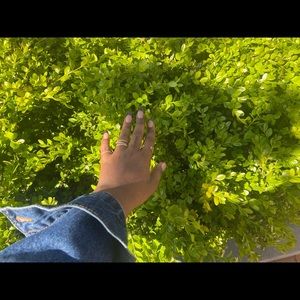 Meet your Posher, Malia